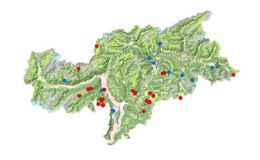 Die genetischen Proben haben 2018 in Südtirol 13 verschiedene Wölfe identifiziert, im Bild rote Punkte=Wolf, blaue Punkte=Hund, Stern=Goldschakal - Quelle: Amt für Jagd und Fischerei