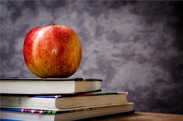 Obst, Gemüse und Milch für Schulkinder: Schulen können sich bis Monatsende für eine Teilnahme am Programm melden - Foto: pixabay.com