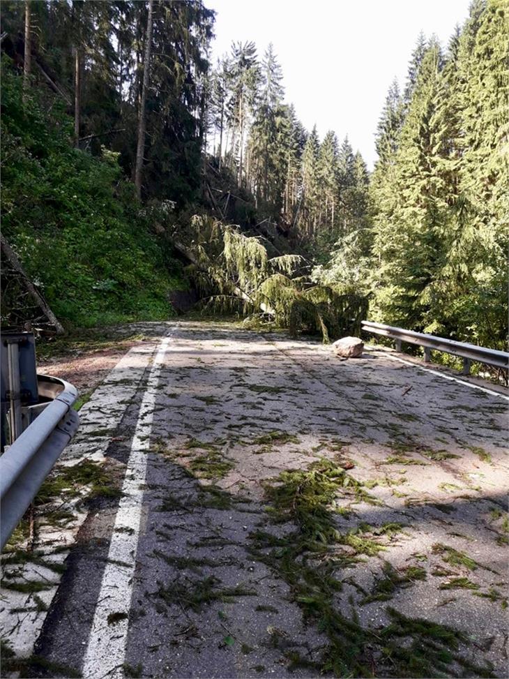 Umgestürzte Bäume und Schäden: Die Straße aufs Lavazéjoch ist weiterhin gesperrt (FOTO: Freiwillige Feuerwehr Eggen)