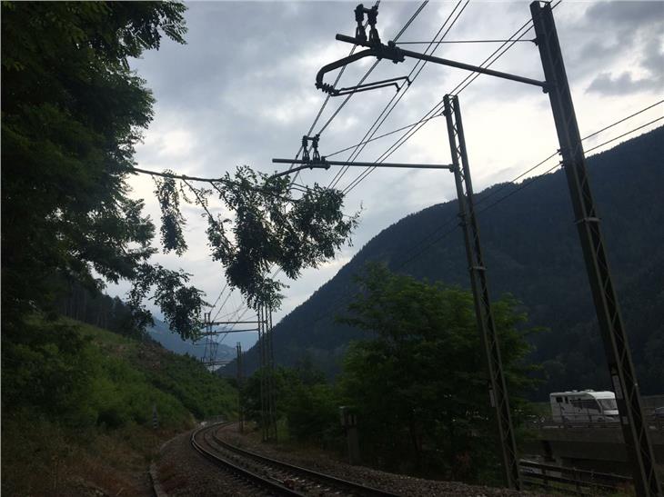 An einigen Orten hatten Äste auf den Oberleitungen die Pustertal Bahn blockiert. (Foto: LPA)