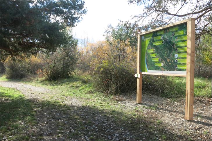 15 neue Tafeln informieren über die verschiedenen Lebensräume und Arten im Schludernser Auwald (Foto: Landesamt für Natur/Maria Luise Kiem)