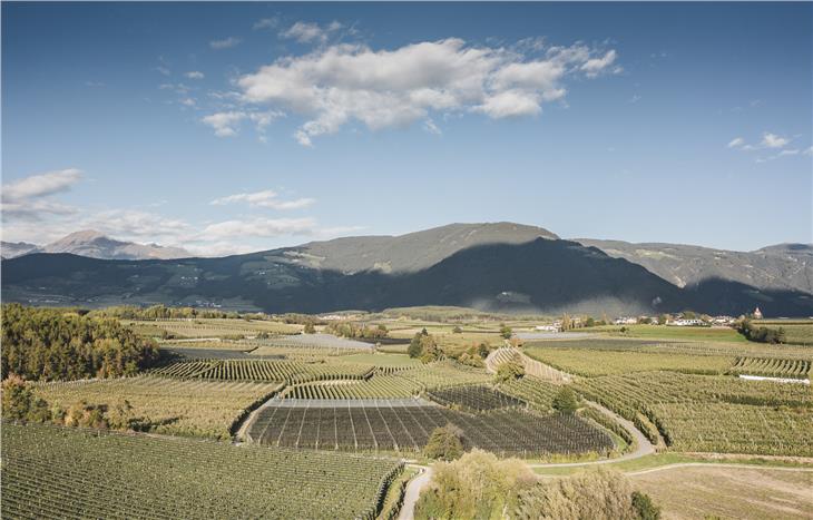 Obstbau in Südtirol: Auf einen Dialog statt Gerichtsstreit haben sich Südtirols Obstbauern mit Schiebl und Umweltinstitut München e. V. geeinigt. (Foto: IDM/Manuel Kottersteger)