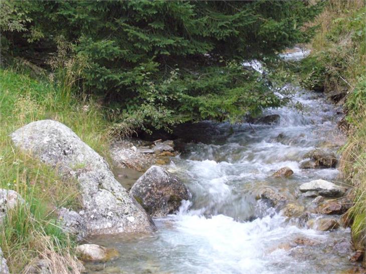 Der obere Abschnitt des Wielenbachs - von der Naturparkgrenze bis zur Einmündung des Forergrabens unterhalb Oberwielenbach - ist als Naturdenkmal geschützt. (Foto: LPA/Landesamt für Landesplanung)