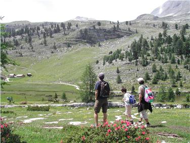 Dai dati della rilevazione PASSI si evince che la popolazione altoatesina ha stili di vita attenti alla salute. Si mantiene alto, però, il consumo di alcol Foto: USP