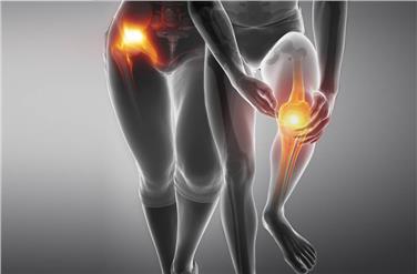 Presentato recentemente a Bari uno studio sulla protesi dell’anca nell’area Euregio elaborato dall’Osservatorio provinciale per la salute Foto: Osservatorio per la salute