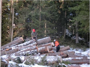 Alpine Protection Forest Award Helvetia: uno dei premi è andato al progetto per la gestione del bosco di protezione con l'aiuto degli elicotteri. Foto: Ispettorato forestale Campo Tures
