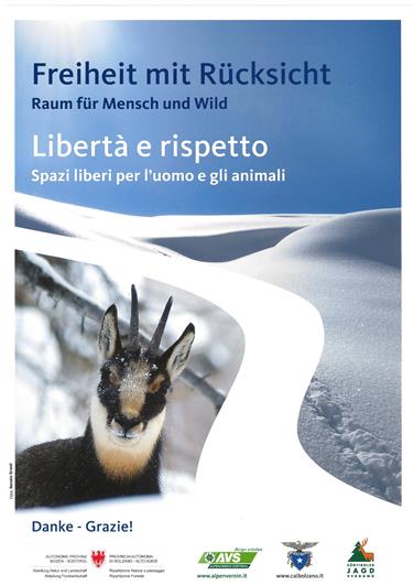 Il poster della campagna