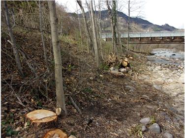 Sono in corso i lavori di manutenzione della vegetazione lungo le rive del Talvera a Bolzano (Foto USP)