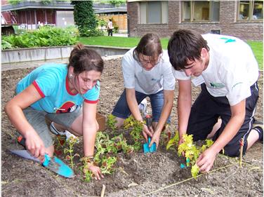 Da apprendisti a imprenditori: anche fra i giardinieri sono molti coloro che seguono questo percorso (Foto USP)