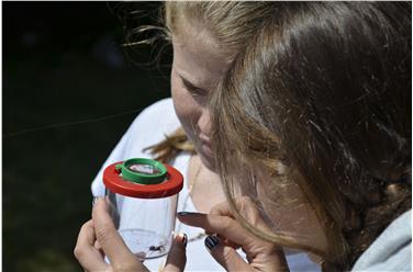 Con Junior Ranger si mira a sensibilizzare i ragazzi verso la natura e l’ambiente montano fornendo loro conoscenze sul mondo vegetale e animale locale (Foto: USP/Parchi naturali)