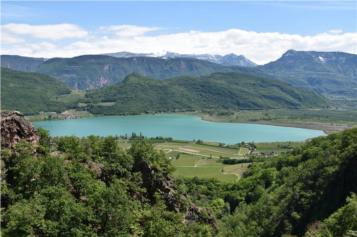 Il Lago di Caldaro scelto dal Laboratorio biologico/Agenzia provinciale ambiente e tutela clima e da eurac research quale simbolo dei laghi polimittici subalpini come corpo idrico dell'anno per il 2019 (Foto: Agenzia ambiente e tutela clima)