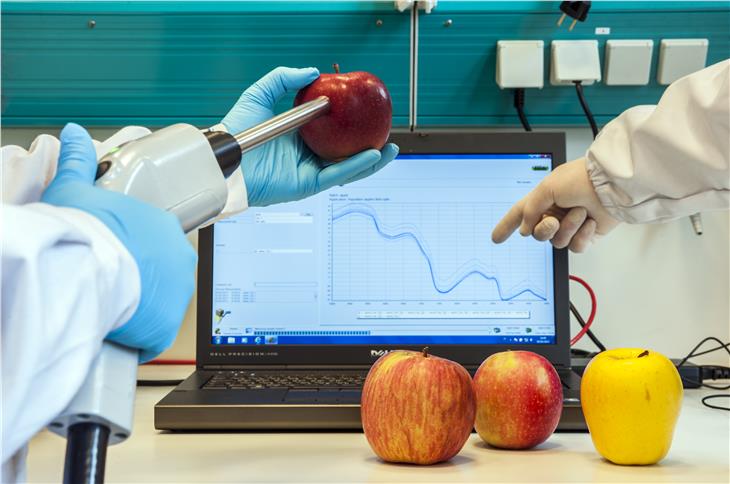 La Giunta ha approvato l'aumento dei fondi per gli scambi internazionali dei ricercatori. Foto: Laimburg