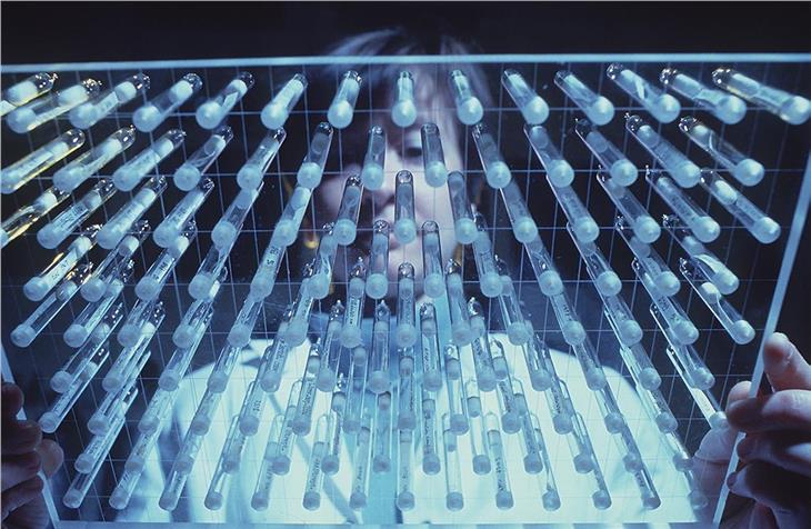 Pochi giorni per candidarsi al Premio di ricerca dell'Alto Adige Foto Udp