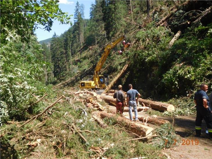 Lo stato dei lavori sulla strada di Passo Lavazè (foto: USP)