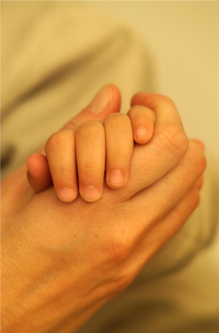 A metà settembre prendono il via i corsi di formazione e gli incontri di aggiornamento per l’Amministrazione di sostegno aperti a tutti gli interessati Foto: USP