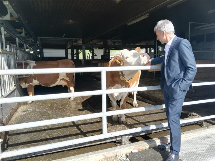 L'assessore Schuler nell'azienda agricola Mair im Hof di Teodone (Foto ASP/Antonella Nardella)