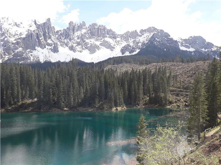 Il lago di Carezza e la foresta colpita sullo sfondo: l'immagine simbolo della tempesta Vaia (Foto: ASP/Ripartizione foreste)