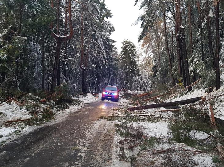 Gli alberi caduti - nell'immagine la strada provinciale per Fiè - provocano seri ostacoli al traffico (Foto: ASP/Vigili del fuoco volontari)