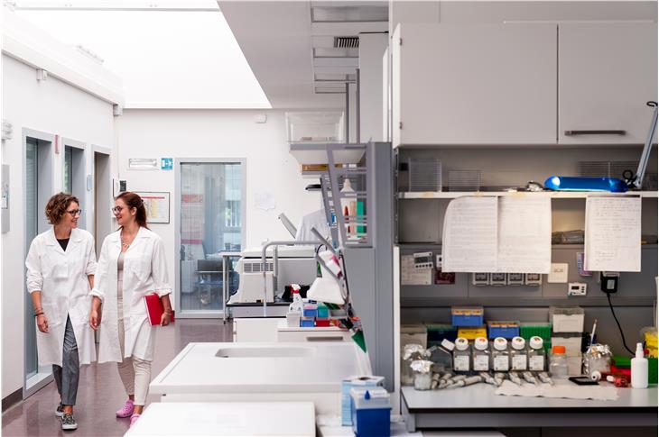 La legge "Ricerca e innovazione" promuove iniziative di ricerca in ambito Euregio e internazionale legate all'Alto Adige (foto Eurac/Ivo Corrà)