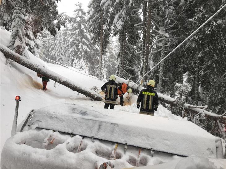 La grande nevicata di novembre ha messo in ginocchio la viabilità (Foto: Vigili del fuoco volontari)