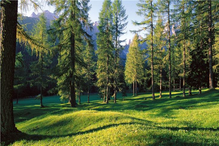 Uno dei 44 siti Natura2000 presenti in Alto Adige è nella Val Campo di Dentro, nei pressi di Sesto Pusteria (Foto: ASP)