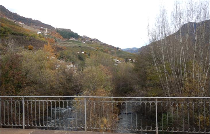 I lavori di manutenzione della vegetazione lungo il Talvera fanno parte del piano pluriennale di opere dei Bacini montani. (Foto: ASP/Ufficio Sistemazione bacini montani Nord)