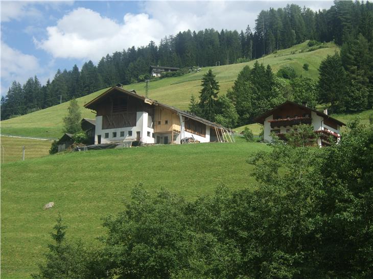 Da lunedì è di nuovo possibile presentare domanda di contributo per gli investimenti aziendali in agricoltura. (Foto: ASP/Guido Steinegger)