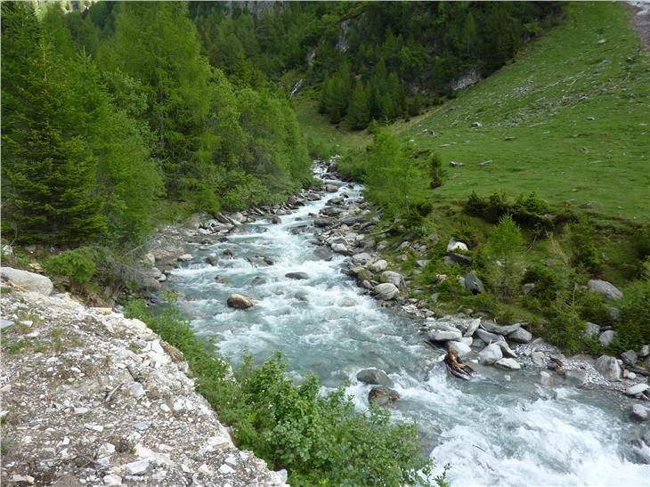 Nel periodo di controllo 2009-2014 risulta essere alta la qualità dei 297 corsi d’acqua dell’Alto Adige. Qui il rio di Vizze. (Foto: Agenzia ambiente e tutela clima)