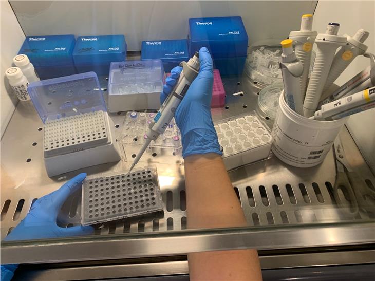 I test sul Coronavirus potranno essere svolti sul personale sanitario anche senza sintomi (Foto: Azienda sanitaria)