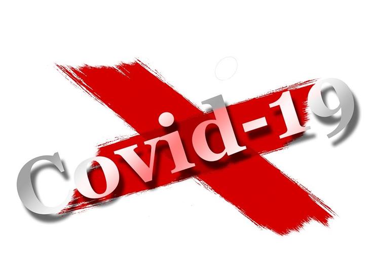 Coronavirus-Covid 19: i dati aggiornati rilevati dall'Azienda sanitaria dell'Alto Adige, situazione al 21 aprile: 17 nuovi positivi su 606 tamponi. Sono in totale 2.412 le persone positive.   (Foto: pixabay)
