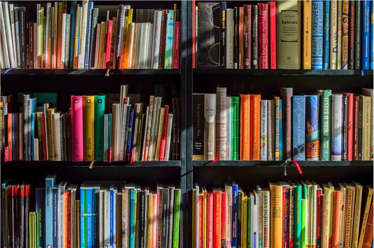 Sono numerose le proposte di lettura dell’Ufficio educazione permanente, biblioteche e audiovisivi della Provincia (Foto: pixabay)