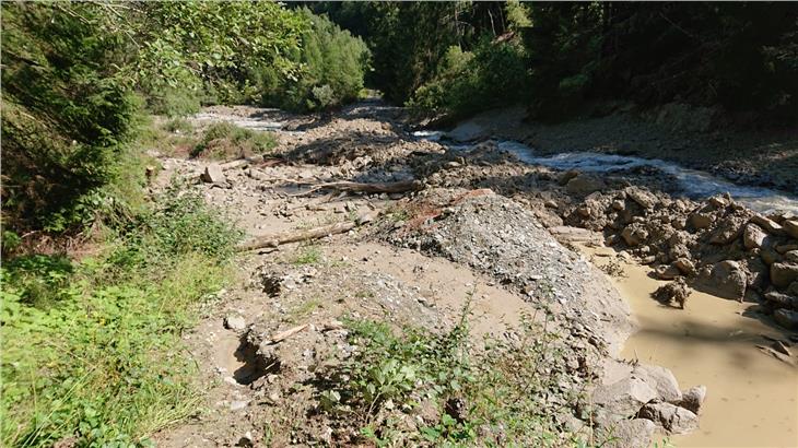 Il bacino di contenimento ha trattenuto i detriti trasportati dal rio di Cengles ingrossato per le forti piogge temporalesche di ieri. (Foto: Bacini montani ovest)