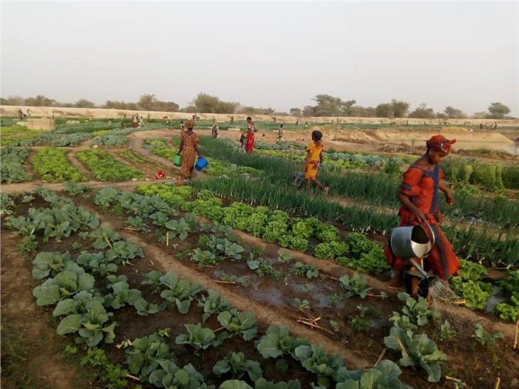 In Burkina Faso e in altri Stati africani la Provincia sostiene progetti per lo sviluppo rurale al fine di raggiungere la sicurezza alimentare. (Foto: USP/Affari del Gabinetto)