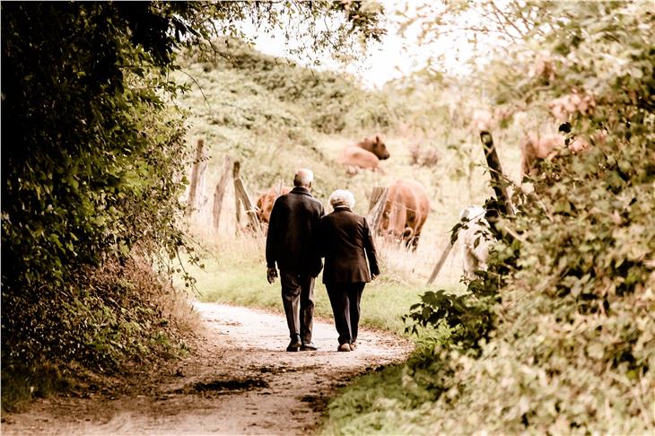 "Vivere insieme la quotidianità" e "Pasto nel vicinato": due nuovi servizi di accompagnamento per persone anziane o disabili (Foto: pixabay.com)