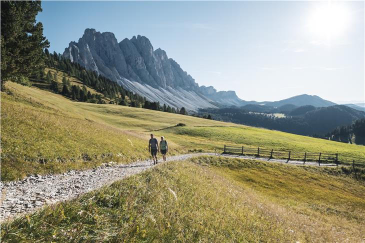 Regole meno rigide sulla quarantena per chi rientra in Germania comportano buone prospettive per il turismo in Alto Adige (Foto: IDM/Alex Moling)