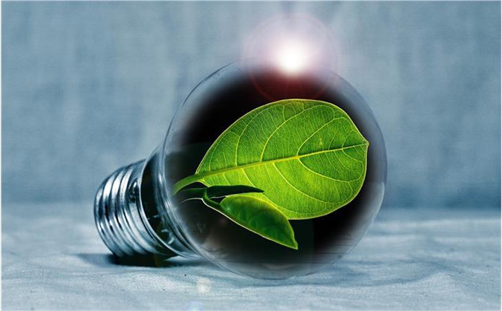 La natura nella lampadina: un simbolo per il nuovo pensiero, che è utile soprattutto dopo la crisi pandemica. Il premio “Euregio innovazione 2021” rappresenta un’opportunità importante per sviluppare idee nuove (Foto: pixabay.