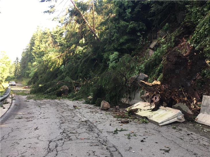 A causa delle forti raffiche di vento, nella notte tra mercoledì 7 e giovedì 8 luglio numerosi alberi sono stati sradicati e sono caduti sulla statale 242 della Val Gardena /Foto: ASP/Servizio strade)