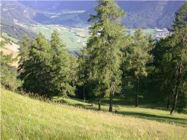 Sviluppo del territorio e tutela del paesaggio: un'unica legge per una programmazione integrata