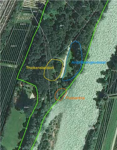 Nel programma di misure ecologiche elaborate a tutela dei biotopi sull'Isarco rientra anche il progetto per il laghetto Schrambacher Lacke