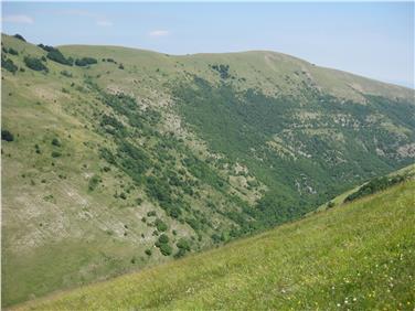 Le piante devono essere flessibili per sopravvivere, è questo il tema della conferenza che si svolgerà venerdì 17 marzo al Museo di Scienze dell’Alto Adige. In tedesco, ingresso libero