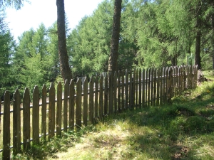 La cura del paesaggio tra i compiti delle persone assunte temporaneamente dall'Agenzia del demanio provinciale