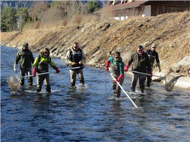 Per consentire l'esecuzione di una serie di lavori di sistemazione sul Torrente Vizze a Prati, prelevati e trasferiti un centinaio di trote e ibridi nel rio Tulve (Foto USP/Ufficio Caccia e Pesca)