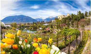 Sabato 1°aprile 2017 i Giardini di Castel Trauttmansdorff apriranno le porte al pubblico