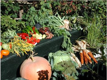 Sono aperte le iscrizioni al Corso "Orticoltura biologica" alla Scuola di frutti-viticoltura e giardinaggio di Laives