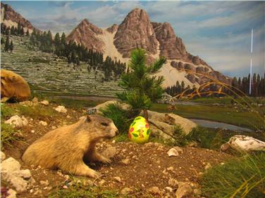 Caccia alle uova di Pasqua al Museo Scienze Naturali 8-16 aprile