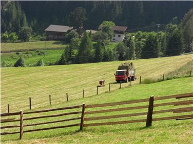 Sostegno all'agricoltura: contributi anche per l'acquisto dei macchinari da fienagione