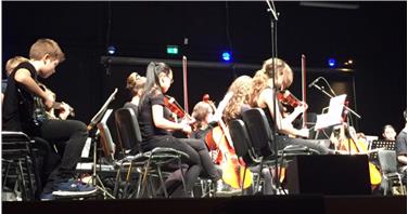 Un gruppo di alunni nel corso dell'esibizione alla terza edizione di MediArtisti