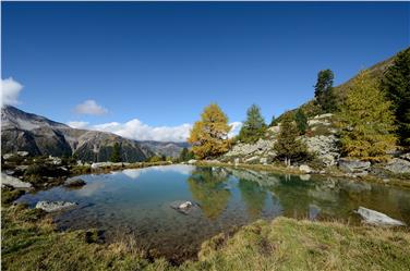 Nuovo record per il turismo altoatesino nell'annata 2015/16