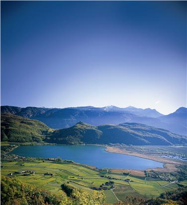 I microorganismi dei laghi alpini e la loro produzione di gas metano sono al centro di uno dei 3 progetti di ricerca finanziati.