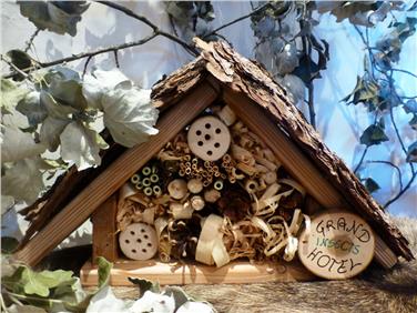 Sono le api, i bombi, le mosche e le coccinelle i protagonisti di un workshop per bambini, organizzato ogni giovedì di luglio ed agosto a Castel Wolfsthurn